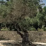 Alexia On The Greek Island Of Zakynthos