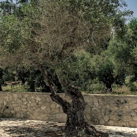 Alexia On The Greek Island Of Zakynthos
